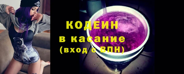 мдпв Верея
