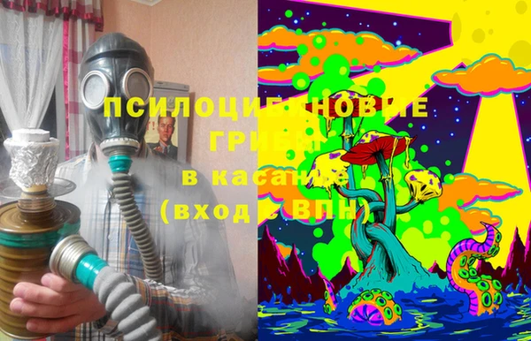мдпв Верея