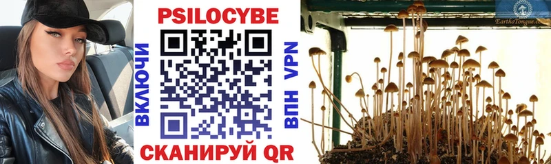 Псилоцибиновые грибы мухоморы  где продают наркотики  OMG ONION  Верхотурье 